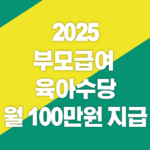 2025 부모급여 확대 육아수당 월 100만원 지급