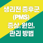 생리전-증후군-(PMS)-증상-원인-관리-방법에-대해-알아보기
