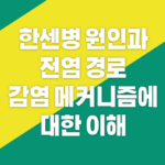 한센병-원인과-전염-경로-감염-메커니즘에-대한-이해